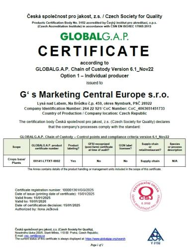 GGAP GSM